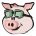 Pig Finance (PIG)